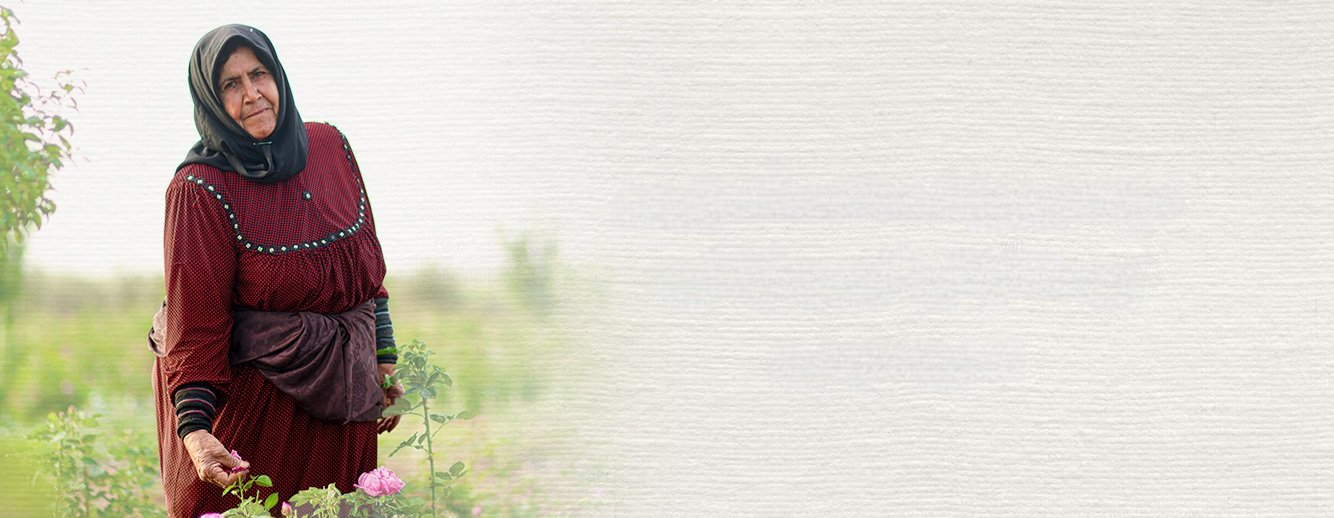 التعاونيات الإنتاجية